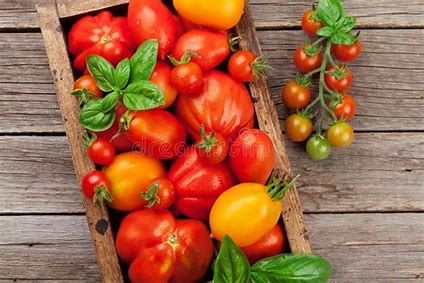 Tomato Basil