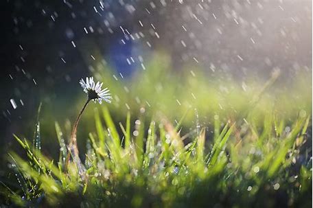 April Showers