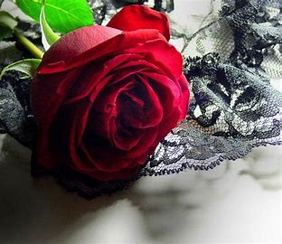 Leather and Lace