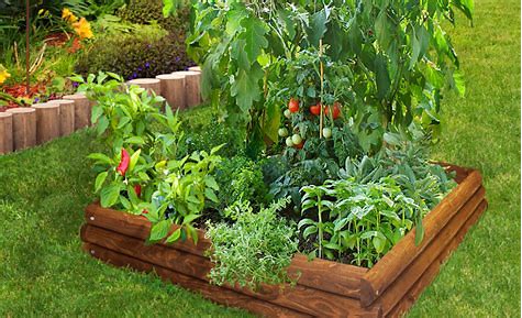 Grandpa's Garden